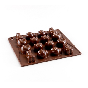 תבנית סיליקון לשוקולד “אביב מתוק” Dr.Oetker